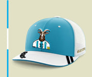 Argentina – 2026 World Cup Hat Collection