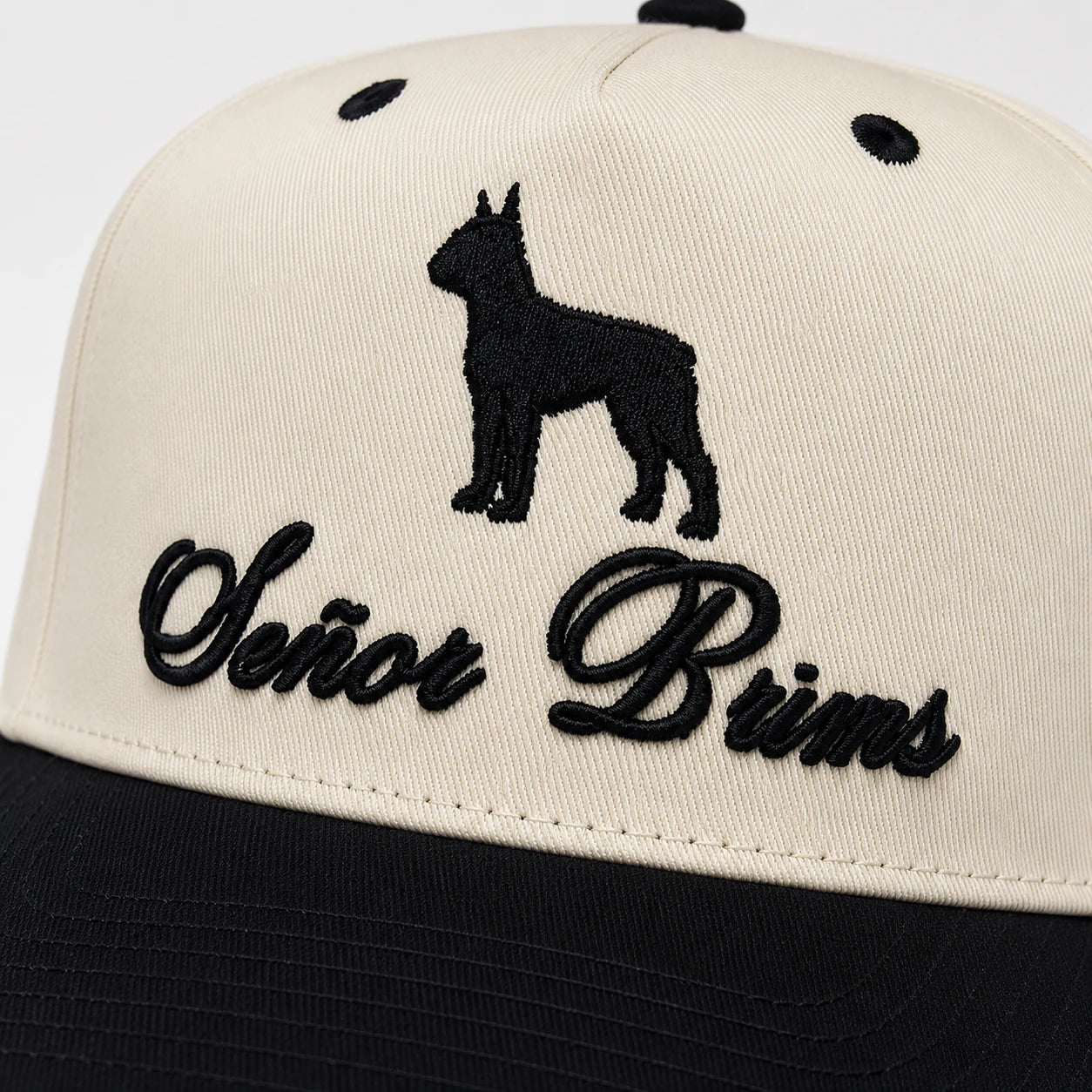 BT Silhouette Cap Señor Brims - close up